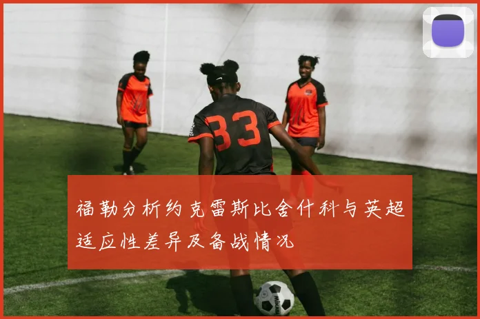 福勒分析约克雷斯比舍什科与英超适应性差异及备战情况