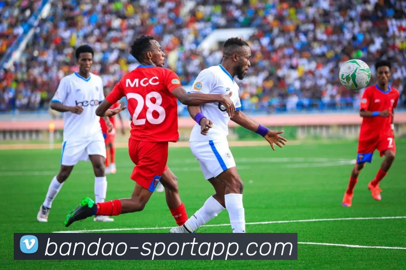 半岛足球体育全站App